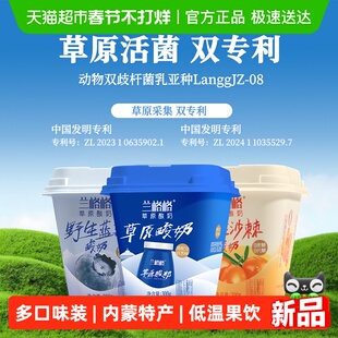 兰格格内蒙特产蓝莓酸奶沙棘原味多维果香满溢原产草原安心配比