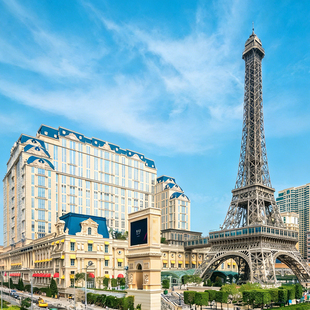 澳门旅游 【可选含2餐】 澳门一日游纯玩新葡京发财树一日跟团游