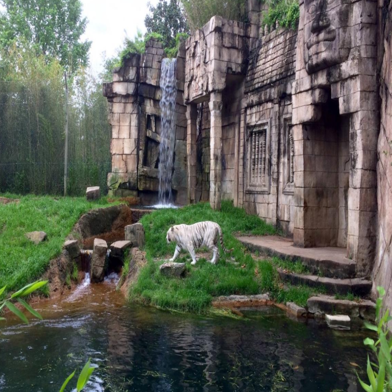 [memphis zoo-大门票]美国 孟菲斯动物园 门票