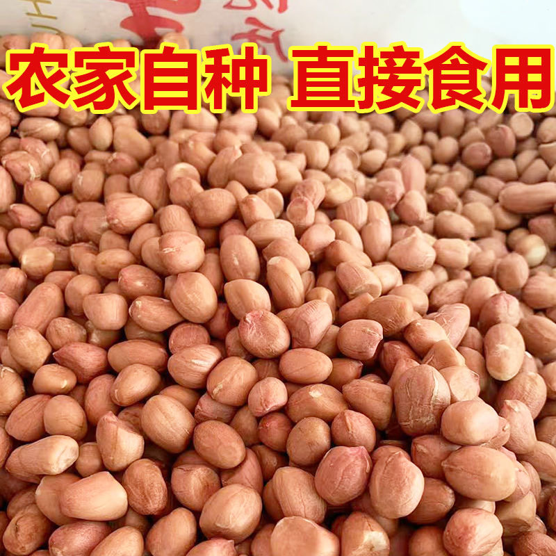 现剥新货特价精选无壳白沙花生米批发粉红皮花生仁商用