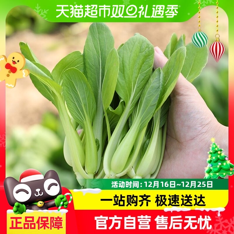 �ٺ��ļ���ë������50g�������߲����Ȳ��ֲ�������С����Ͳ�