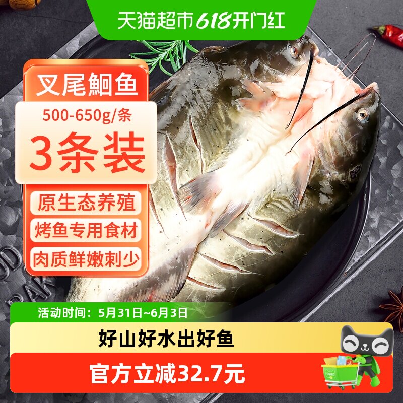 钓鱼记广东叉尾鮰鱼清江鱼二去净重冷冻烤鱼红烧烤500g-650g*3条