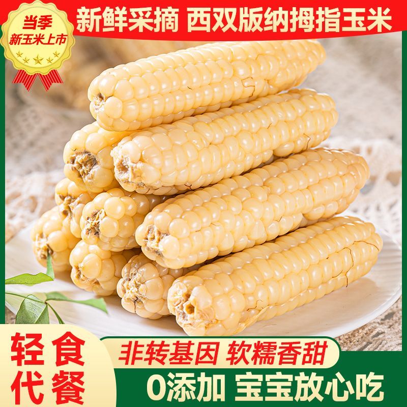 云南西双版纳拇指玉米迷你香糯玉米老品种小玉米儿童早餐代餐饱腹