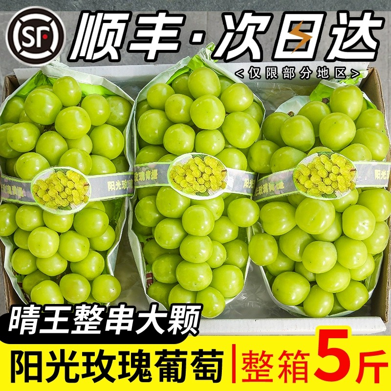 阳光玫瑰葡萄新鲜水果当季脆甜无籽香印提子青提晴王葡萄顺丰整箱