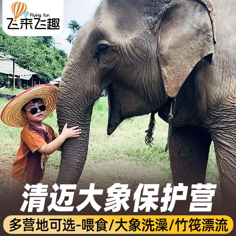清迈大象保护营美旺可巧大象营萨田之家康达给大象洗澡夜间一日游