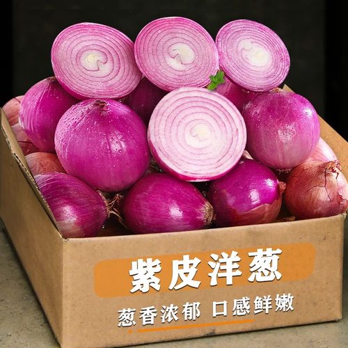 正宗紫洋葱皮牙子手抓饭新鲜水果甜小洋葱餐饮凉拌生吃皮芽子