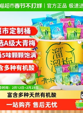 溜溜梅青梅定制全家桶多种口味梅子独立包装全家桶休闲零食年货