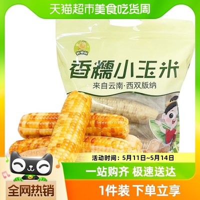 西双版纳花糯玉米1kg×1箱包邮