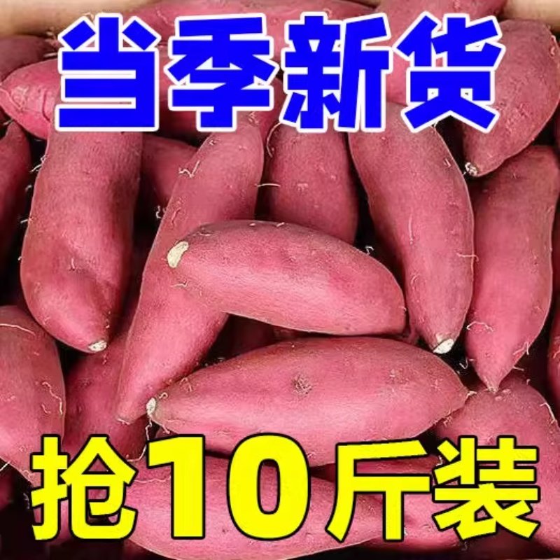 新鲜现挖黄心蜜薯正宗蜜薯红薯软糯香甜番薯地瓜红芋地瓜批发价,水产肉类/新鲜蔬果/熟食,番薯,淘宝优惠券,粉丝福利购,淘宝优惠卷
