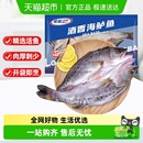 国联酒香海鲈鱼新鲜冷冻海鱼海鲜水产烤鱼半成品商用火锅食材