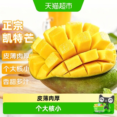 京运达正宗云南凯特芒
