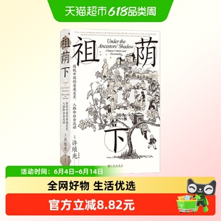 祖荫下 传统中国的亲属关系 人格和社会流动 美 许烺光 著