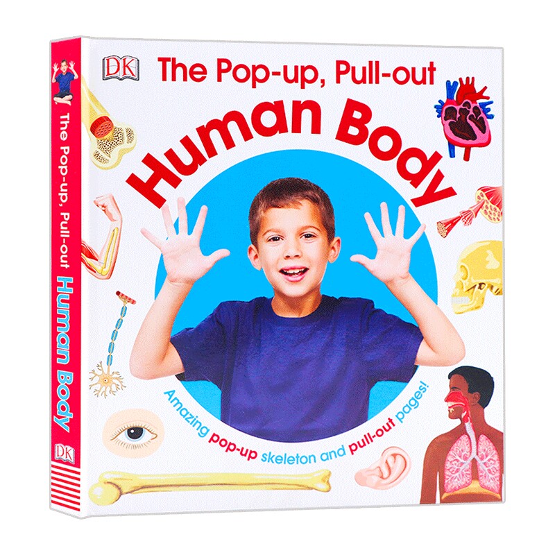 The Pop up Pull out Human Body 英文原版 DK人体构造立体百科 人类身体科普启蒙 全彩插画版图解 精装 英文版进口英语书籍