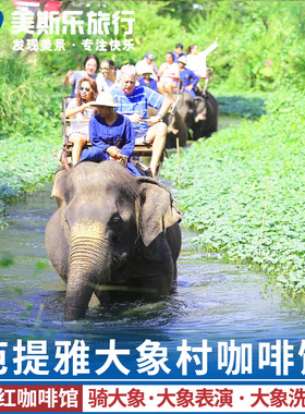 [芭提雅大象村骑大象-大象骑行]泰国旅游芭提雅大象村网红咖啡屋Mong Chang Cafe骑大象洗澡表演