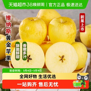 维纳斯黄金奶油富士苹果甜冰糖山东黄苹果当季新鲜水果