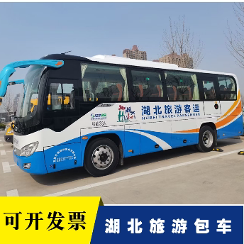 荆州包车公司 轿车 商务车 中巴车大巴车 考斯特 正规包车公司