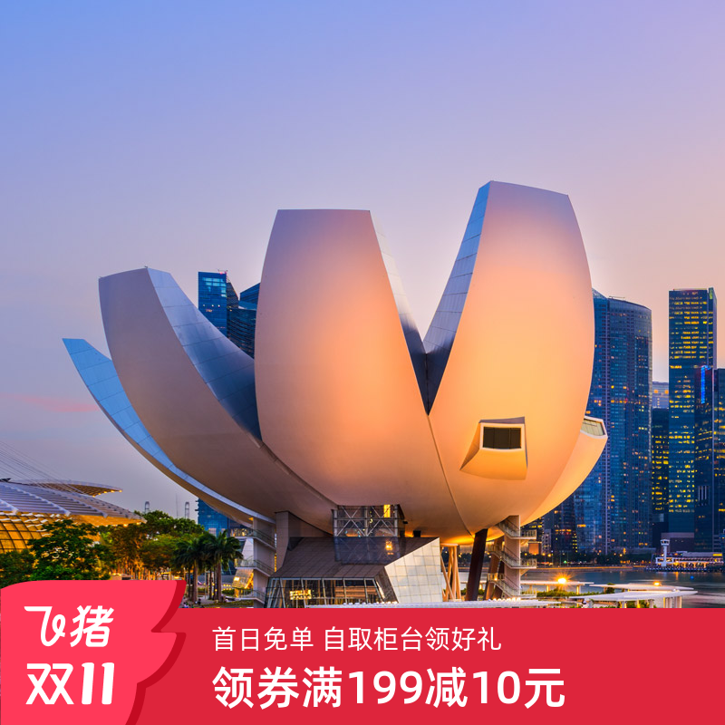 新加坡wifi租赁无线移动上网境外漫游网络新加坡随身wifi出国游