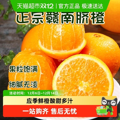 鲜农选江西赣南脐橙应季鲜脐橙