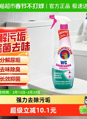 进口大公鸡洁厕灵泡沫马桶清洁剂去黄亮白除臭去垢除菌留香625ml