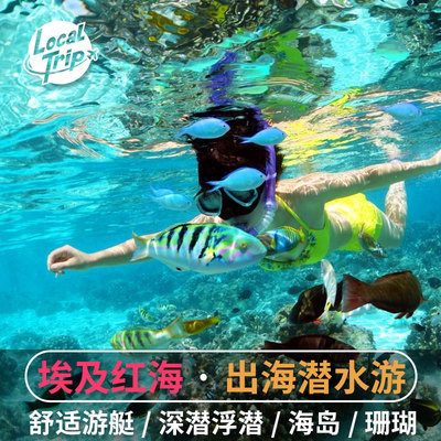 埃及红海一日游