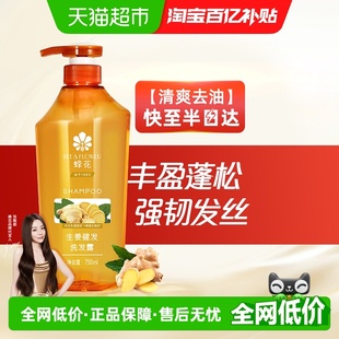 蜂花洗发水生姜无硅油健发洗发露去油蓬松留香洗头膏女男改善断发