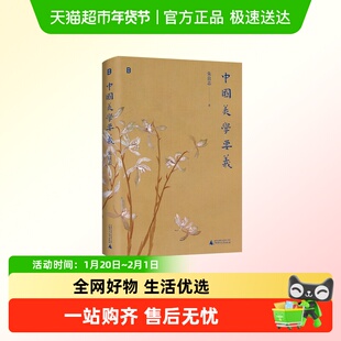 中国美学要义 朱良志教授的经典美学课程 北京大学博雅讲席教授