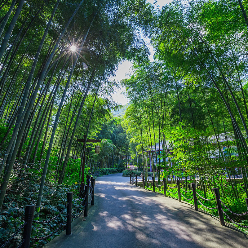 溧阳竹隐居套餐