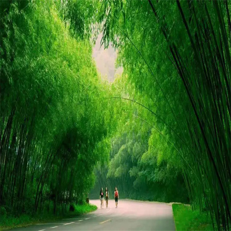 临沂竹泉村 红石寨一日游