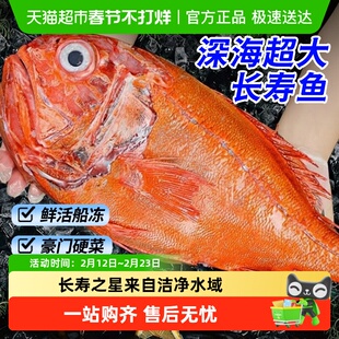 新西兰深海长寿鱼新鲜冷冻海鱼橙鲷鱼红石斑鱼