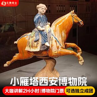 西安博物院+小雁塔人工深度讲解2H+含门票可选12人小团/独立成团