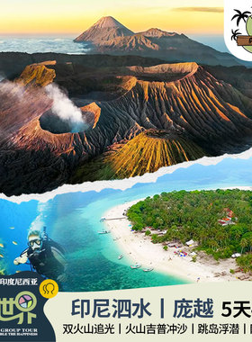 天天发团·印尼泗水布罗莫赛梅鲁双火山Gili岛浮潜5天4晚9人小团