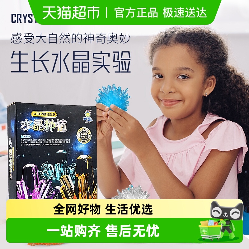 乐缔科学实验水晶种植生长