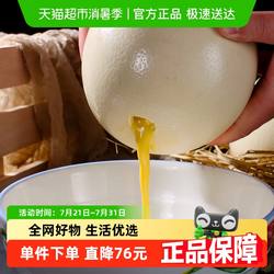 绿田逐新鲜鸵鸟蛋1.4kg*1颗送礼盒底座 新鲜特大禽蛋礼盒