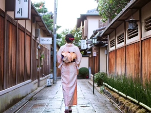 京都金阁寺+清水寺+二三年坂+花见小路+伏见稻荷大社+一日游