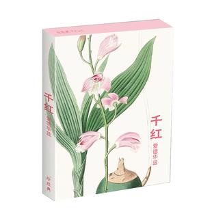 千红·爱德华兹明信片32张名家各种类花卉水彩画册集艺术小卡片手绘插画简约小清新文艺日系复古风生日感恩节圣诞节贺卡创意礼物