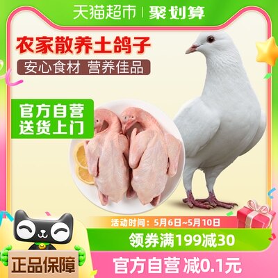 温氏乳鸽520g/2只农家散养