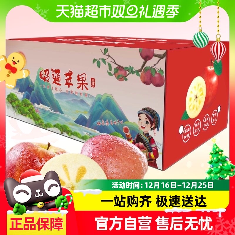 ������ͨ��ƻ��������ƻ��ˮ�����ʴ���ʿ�����������