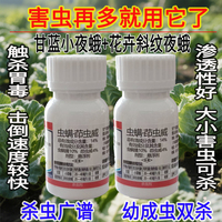 蛤蟆王14%勇冠蟲螨茚蟲威農作物蔬菜花卉大小害蟲克星小菜蛾斜紋夜蛾殺蟲劑