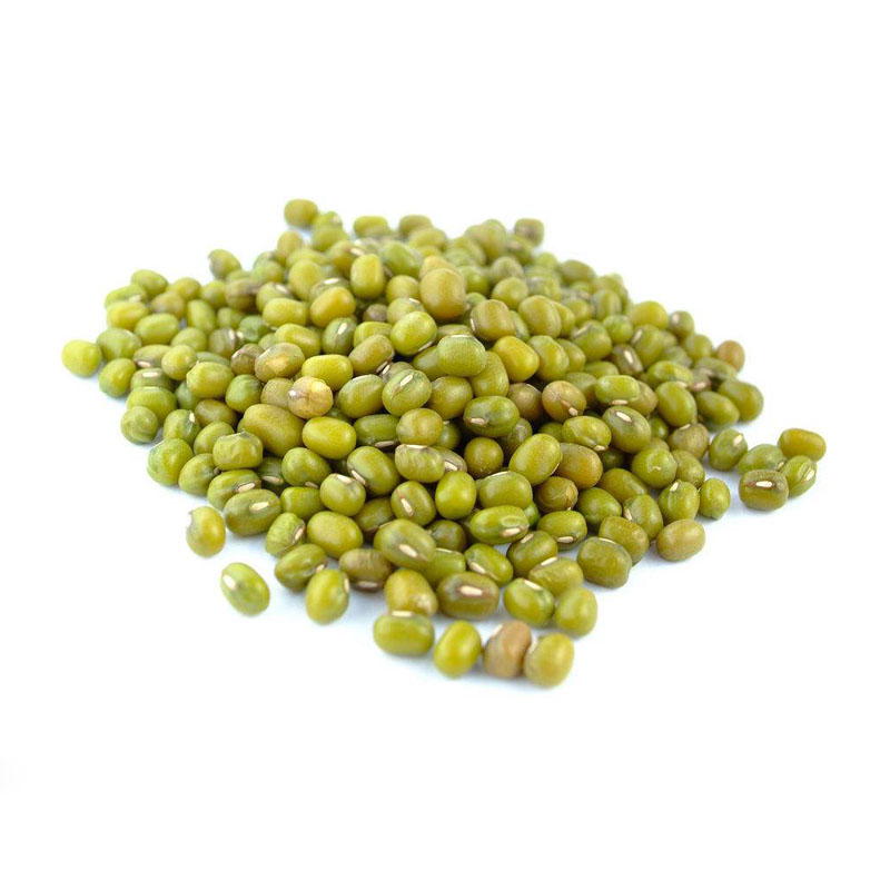 杂粮绿豆种子农家水培蔬菜早熟绿小豆苗高产种籽豆芽芽苗菜种籽孑