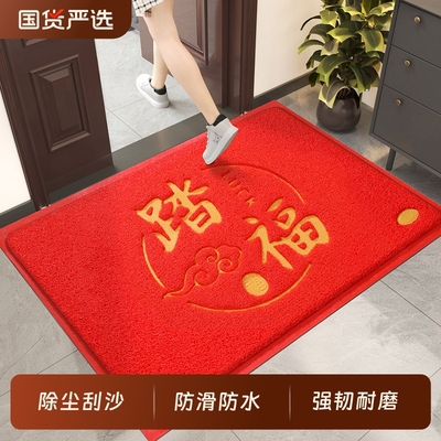 入户门进门大门口耐脏丝圈地毯