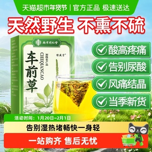 南京同仁堂车前草野生泡水喝的功效与作用信盛堂干袋泡茶干货正品