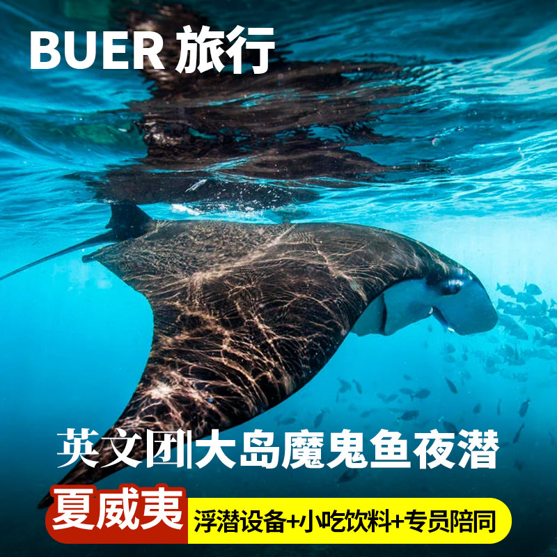 夏威夷旅游大岛魔鬼鱼夜游英文团+专业设备+小吃和饮料+专员陪同