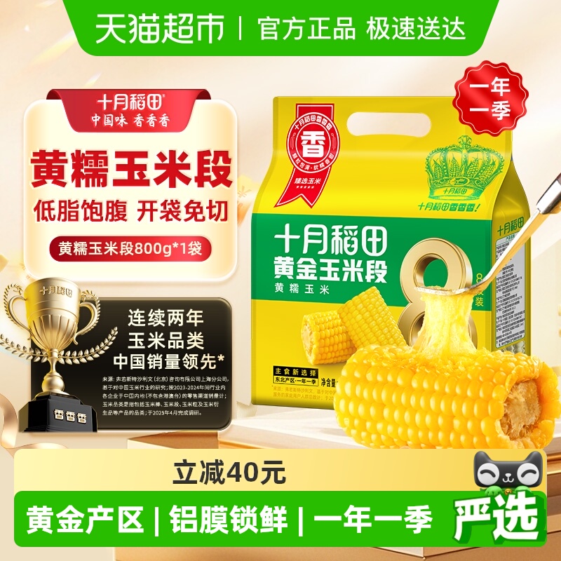 十月稻田东北黄糯玉米