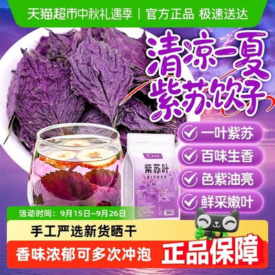 甄选紫苏叶大片新货晒干香味浓郁