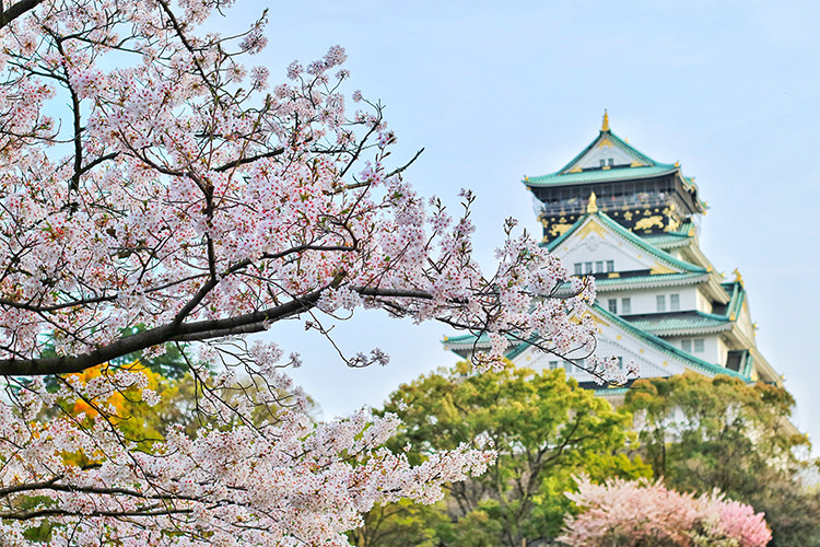 大阪+奈良8天6晚日本旅游深度签证奢华私家团公务舱高端豪华酒店
