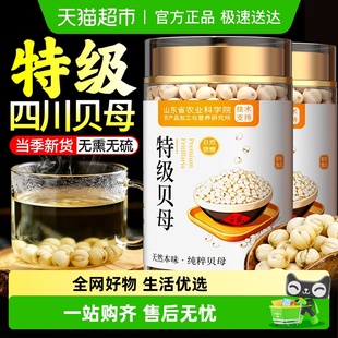 川贝母中药材正品 无熏无硫野生川贝干货止官方搭雪梨片咳店旗舰