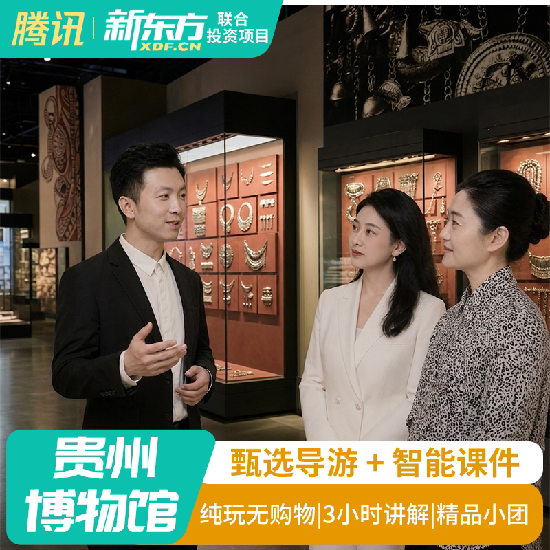 【甄选导游】徐州龟山汉墓研学讲解真人导游私家团跟团金牌导游