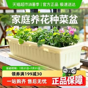 阳台种菜盆家庭专用蔬菜种植长方形花盆家用塑料加厚长条盆种植箱