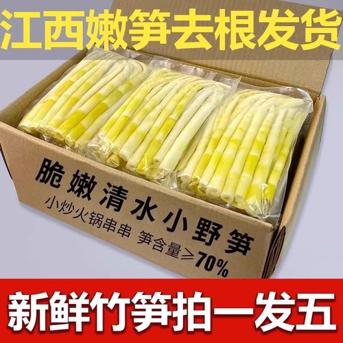 2025野生小竹笋清水笋小春笋嫩笋尖鲜笋高山嫩竹笋火锅笋商用批发
