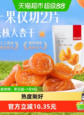 薛记炒货红杏干酸甜交织88g